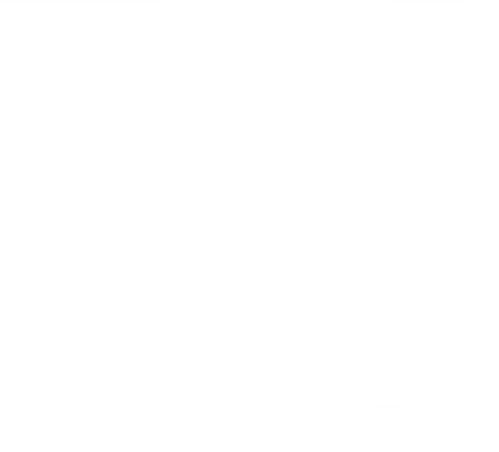 X Icon